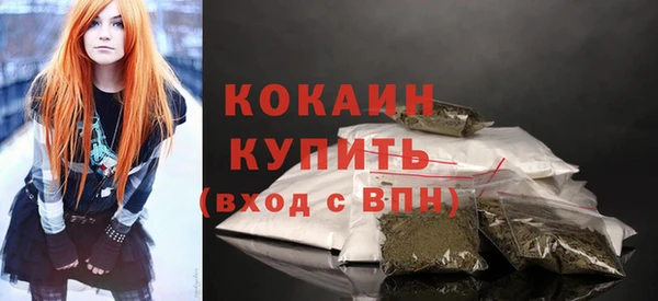 прущие грибы Магас