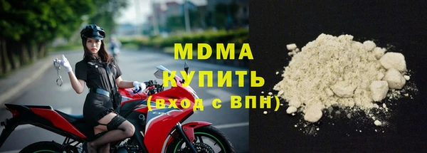 прущие грибы Магас