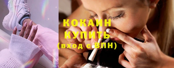 прущие грибы Магас