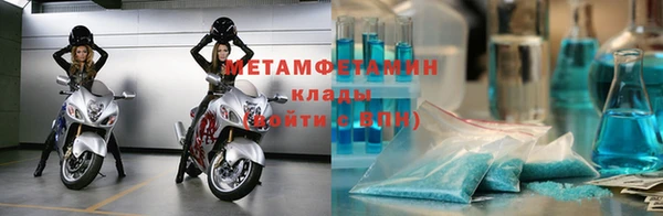 прущие грибы Магас