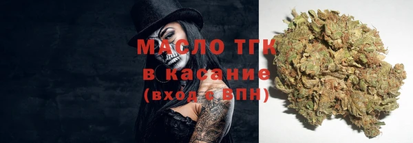 прущие грибы Магас
