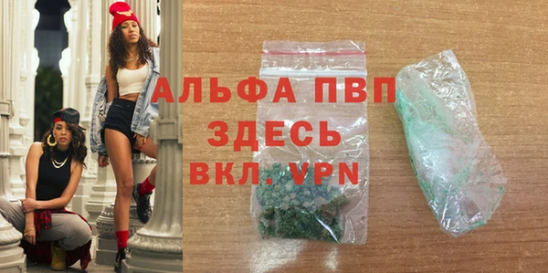 прущие грибы Магас