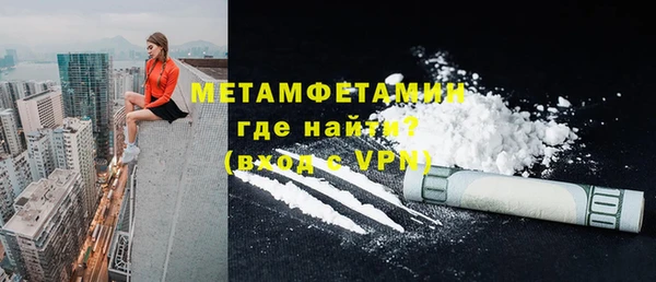 прущие грибы Магас