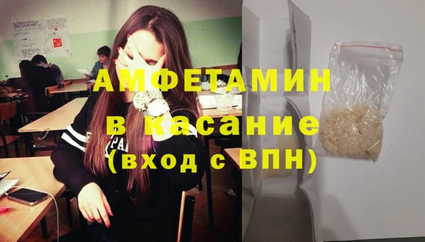 прущие грибы Магас