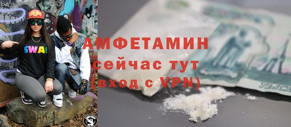 прущие грибы Магас