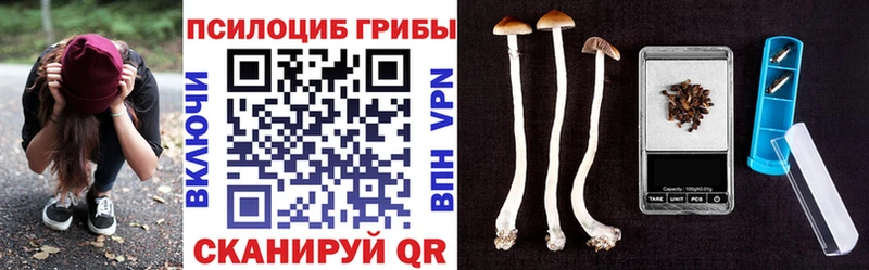 Псилоцибиновые грибы GOLDEN TEACHER  Асино 