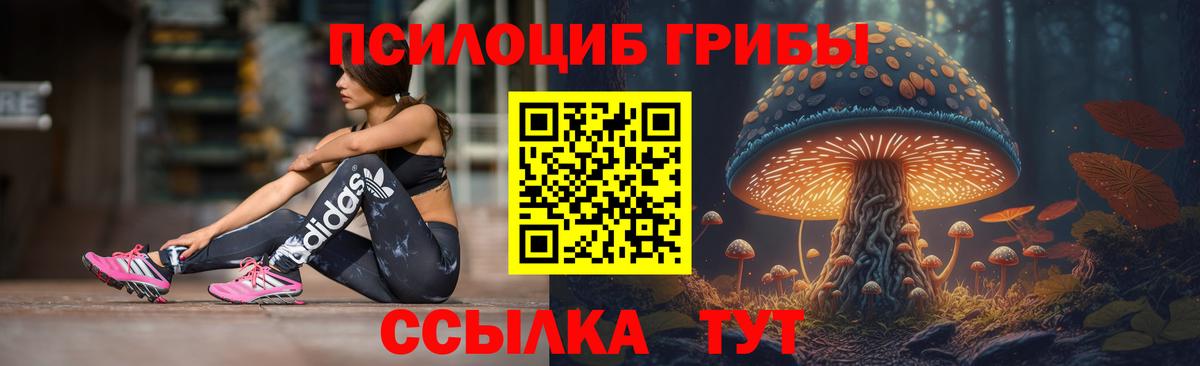 Псилоцибиновые грибы ЛСД Асино