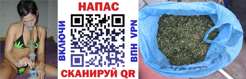 продажа наркотиков  Асино  Марихуана ГИДРОПОН 